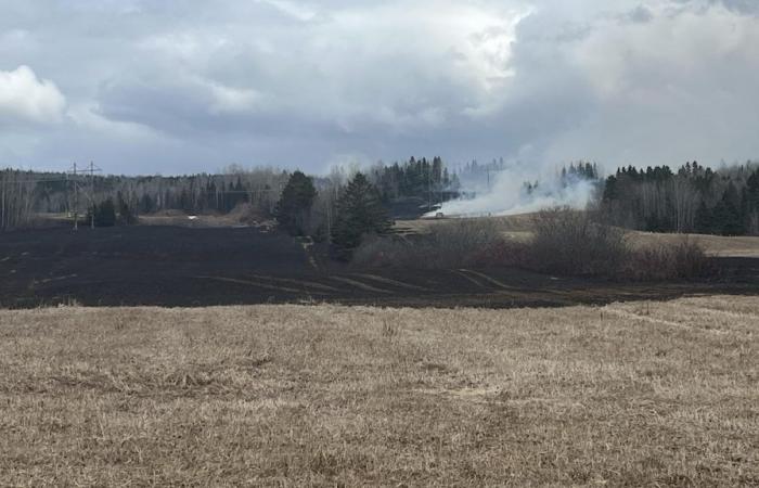 Risque de propagation d’un incendie de champ à la forêt de Causapscal