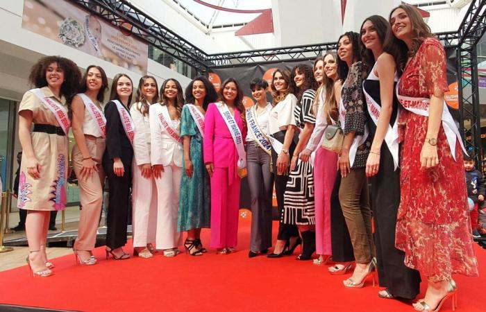Aux côtés de Miss France 2024, les candidates à Miss Seine-et-Marne ont déjà conquis le public