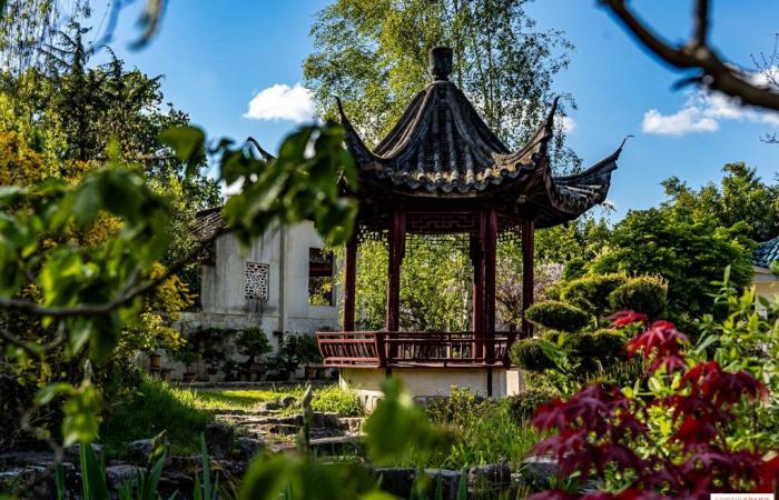 7 parcs et jardins insolites dans les Yvelines, des trésors à découvrir