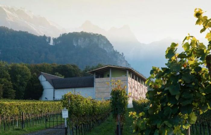 Bernard Arnault aimerait s’offrir ce célèbre vignoble suisse