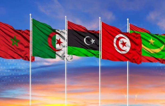 Le sommet de Tunis accentue l’isolement du Maroc au Maghreb