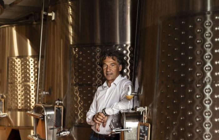 GARD Les maisons de vins du Languedoc ont élu leur nouveau président