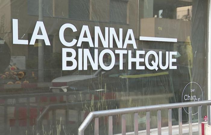 quel bilan pour le premier magasin de cannabis à Genève, six mois après son ouverture ? – .