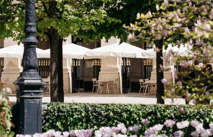 Restaurant Palais-Royal | Paris Capitale – .