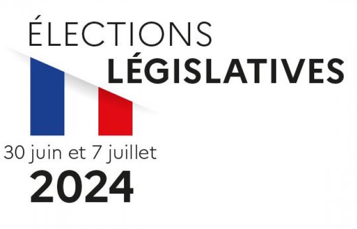 Inscrire les candidats aux élections législatives 2024 – Elections législatives 2024 – Elections – Actions de l’Etat – .