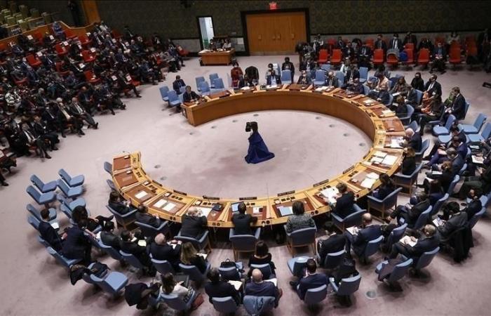Le Conseil de sécurité de l’ONU appelle les forces de soutien rapide à mettre fin aux hostilités (résolution)