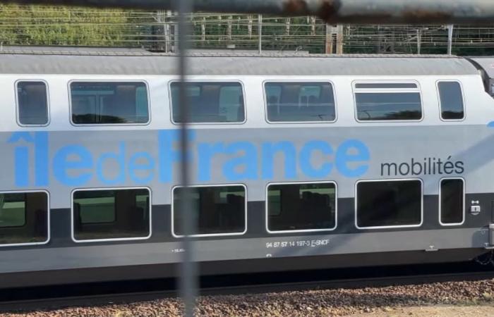 La SNCF fera circuler moins de RER et de Transilien avant et après les JO 2024