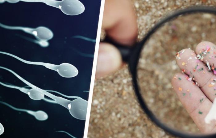 Cette étude sur la présence de plastique dans nos spermatozoïdes alarme les chercheurs