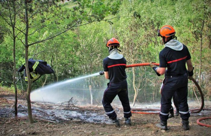 Quelle est l’origine de l’incendie qui a ravagé 600 hectares dans le massif des Maures ? – .