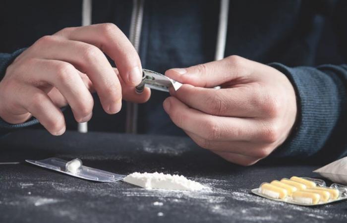 un vaste réseau d’importation de cocaïne en Europe démantelé