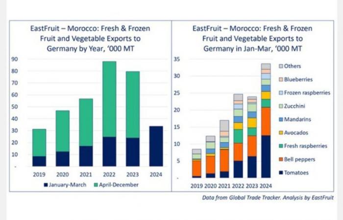 Le Maroc domine le début d’année 2024 avec des exportations historiques de fruits et légumes vers l’Allemagne