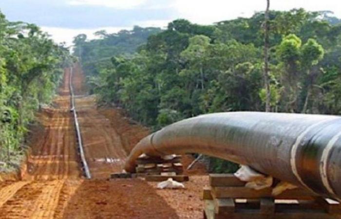Le Niger a fermé les vannes de son pétrole vers le Bénin depuis le 6 juin