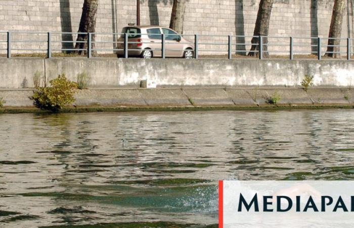 Nager dans la Seine ? De nouveaux documents renforcent le désordre