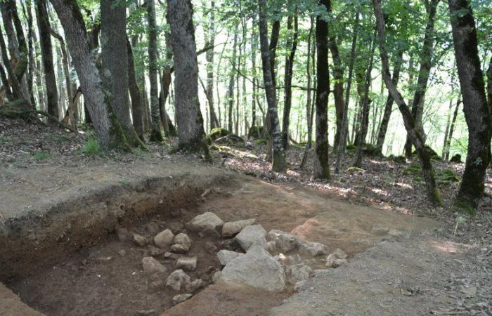 découvrez le Castrum de Lagarde, ce village fortifié vieux de 3000 ans dans les Hautes-Pyrénées