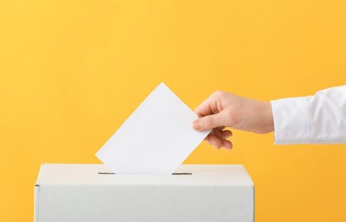 Comment voter ou donner procuration ? – .