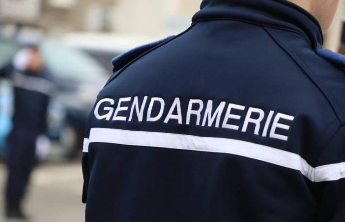 Un agent municipal de 56 ans décède dans un accident de tracteur en Normandie