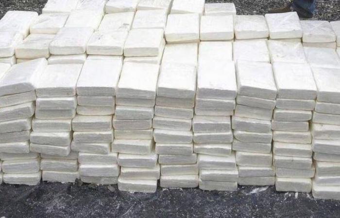 plus de 100 kg de cocaïne saisis dans le sud du pays