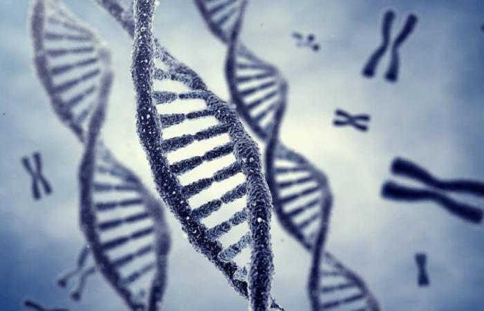 Un test ADN réunit trois frères et sœurs après 70 ans
