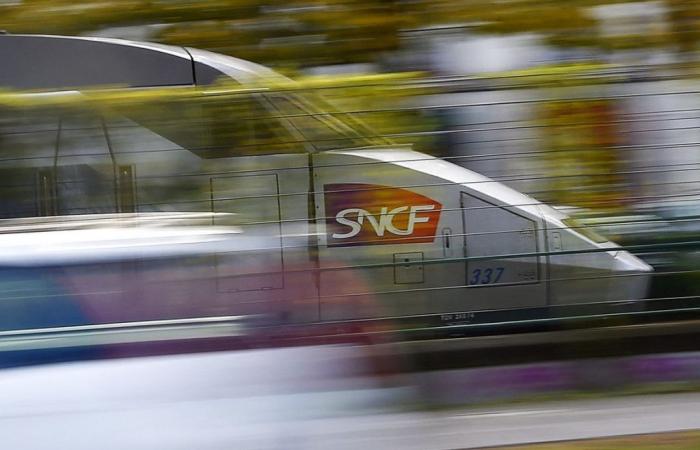 La SNCF promet 15% de places TGV en plus d’ici 10 ans