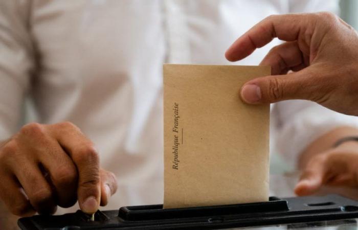 Élections législatives 2024. L’équation à (au moins) deux inconnues en Côte-d’Or