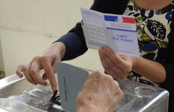 Élections législatives 2024. Sept nouveaux candidats dans les cinq circonscriptions des Côtes-d’Armor