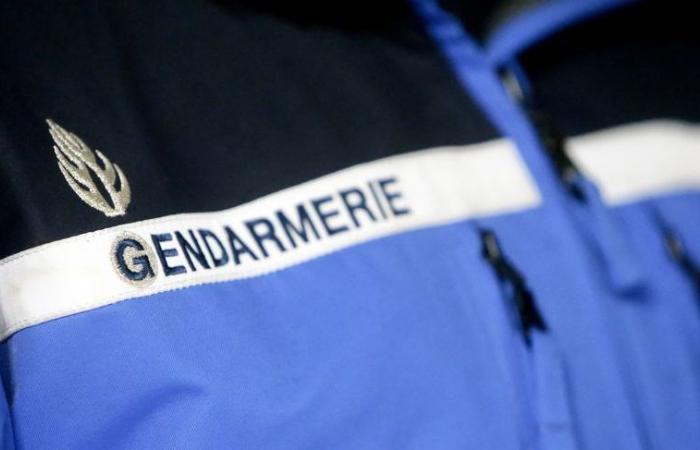 La gendarmerie nationale lance un appel à témoins après une série d’escroqueries dans le Vaucluse