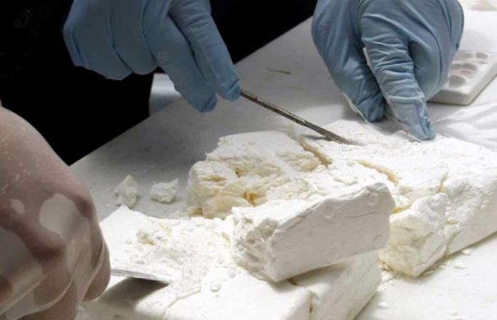 plus de 100 kg de cocaïne saisis dans le sud du pays (Douane)