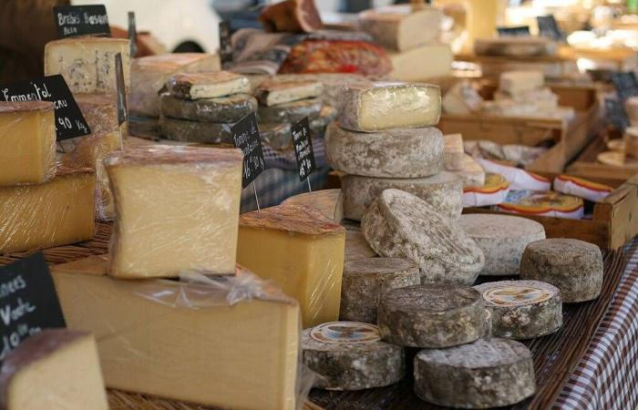 Rappel de fromages de brebis contaminés à la listeria, des grandes surfaces du Var et des Alpes-Maritimes concernées