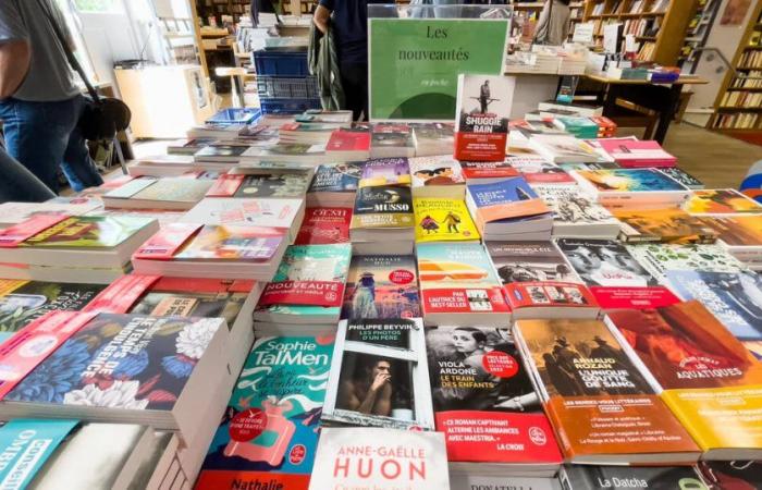 Hausse des coûts, stagnation du marché… De nombreuses librairies menacées de faillite – Libération – .