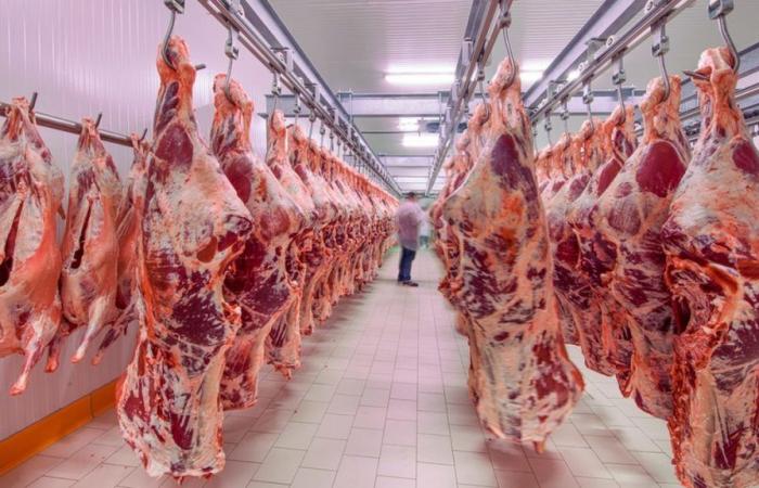 Pourquoi on mange « beaucoup trop de viande » en Suisse