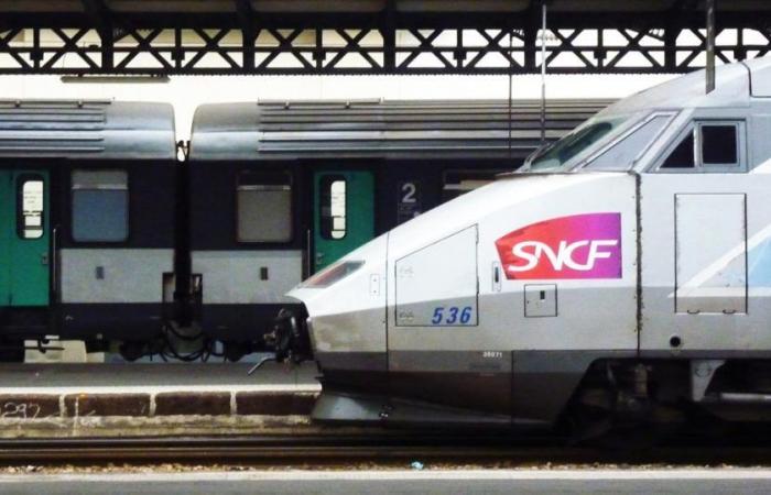 Grâce à Ouigo, la SNCF promet 15% de places TGV en plus d’ici 10 ans
