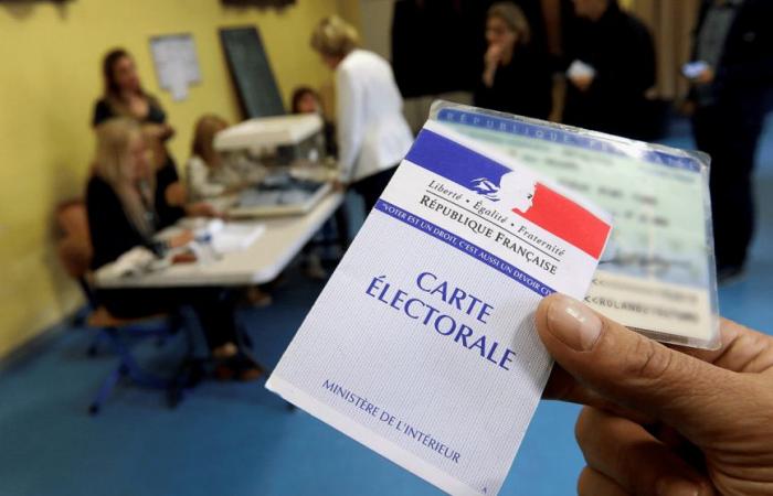 dans la 2e circonscription des Alpes-de-Haute-Provence, cinq candidats sont en lice