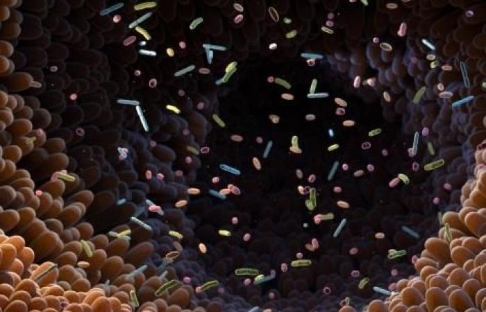 Quel est le rôle du microbiote dans le développement de certaines maladies neurodégénératives ? – .