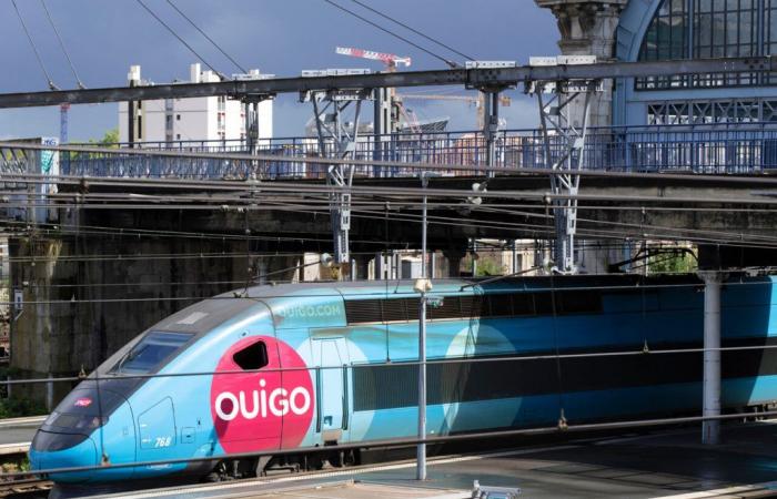 La SNCF annonce de nouvelles lignes Ouigo et va renforcer ses trains au départ de Lyon