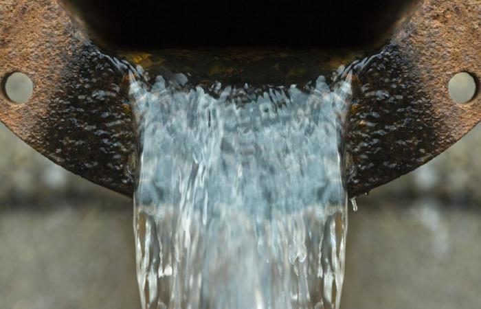 77 municipalités du Québec déversent leurs eaux usées dans la nature