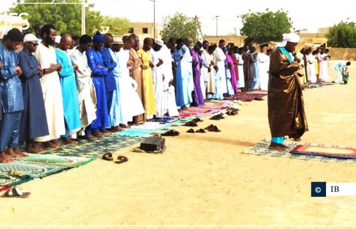 SÉNÉGAL-TABASKI-COMMÉMORATION / A Podor, les fidèles prient pour la paix et l’harmonie nationale – Agence de presse sénégalaise – .