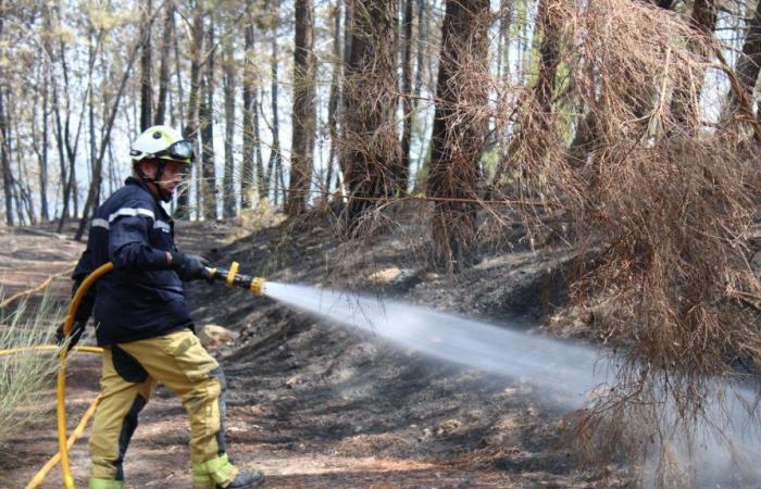 NÎMES La Préfecture du Gard alerte sur les incendies de forêts