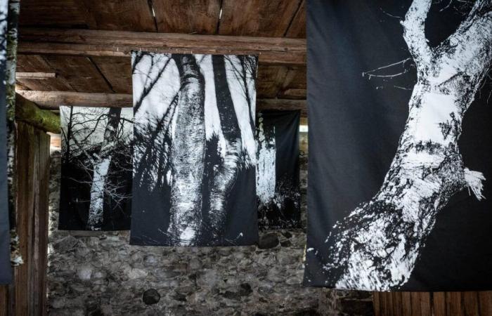 La troisième Biennale de Bregaglia transforme Bondo en galerie d’art à ciel ouvert