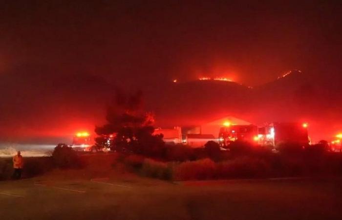 près de 5 000 hectares ravagés par le feu