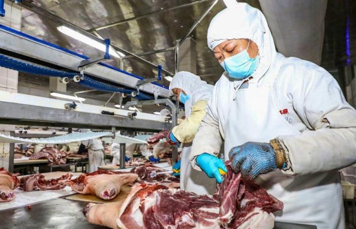 enquête antidumping sur les importations de viande de porc européenne