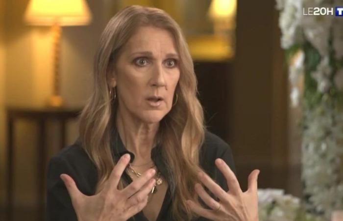 L’interview de Céline Dion par Anne-Claire Coudray fait s’envoler les compteurs du « 20 Heures » de TF1