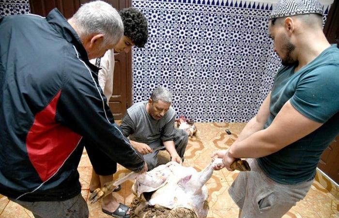 Entre festivités et traditions marocaines, les Marocains profitent de l’Aïd Al-Adha