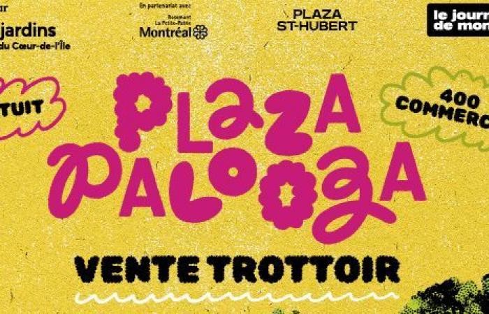 5 raisons de ne pas manquer le PlazaPalooza 2024 – Vous sortez ? – Médias pour les sorties culturelles à Montréal et Québec – .