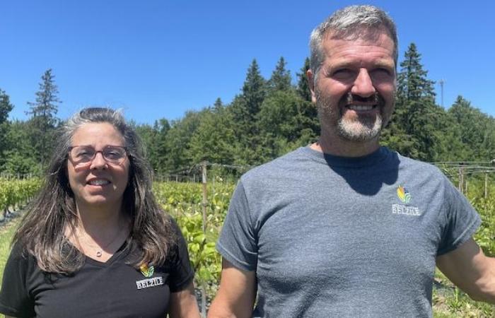 Le soleil brille pour les agriculteurs de l’Est du Québec