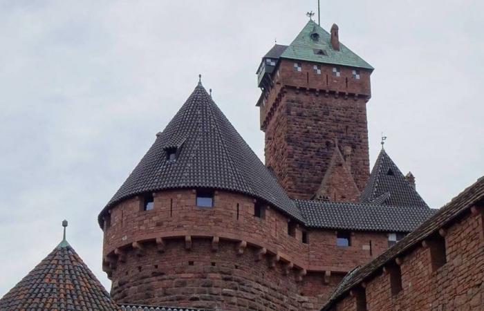 Ce petit château alsacien en ruines, peu connu des touristes, peut enfin être visité dans le Bas-Rhin