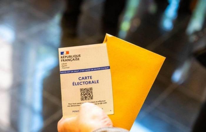 Élections législatives 2024. Qui sont les 56 candidats dans les huit circonscriptions du Finistère ? – .