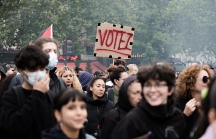 plus de 200 « personnalités de l’internet » appellent à voter pour le Nouveau Front populaire et contre l’extrême droite
