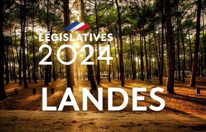 LÉGISLATIVE 2024. Les candidats et les enjeux dans les trois circonscriptions landaises