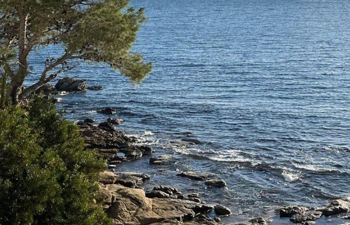 Un Français a été retrouvé mort coincé à 10m de profondeur… Cette plage catalane a enregistré un deuxième décès ce dimanche