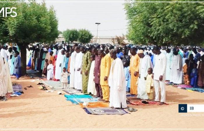 L’imam El Hadji Fallou Bassirou Mbacké appelle les fidèles à l’unité – Agence de presse sénégalaise – .